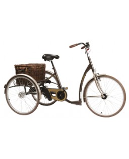Tricycle adulte Vintage